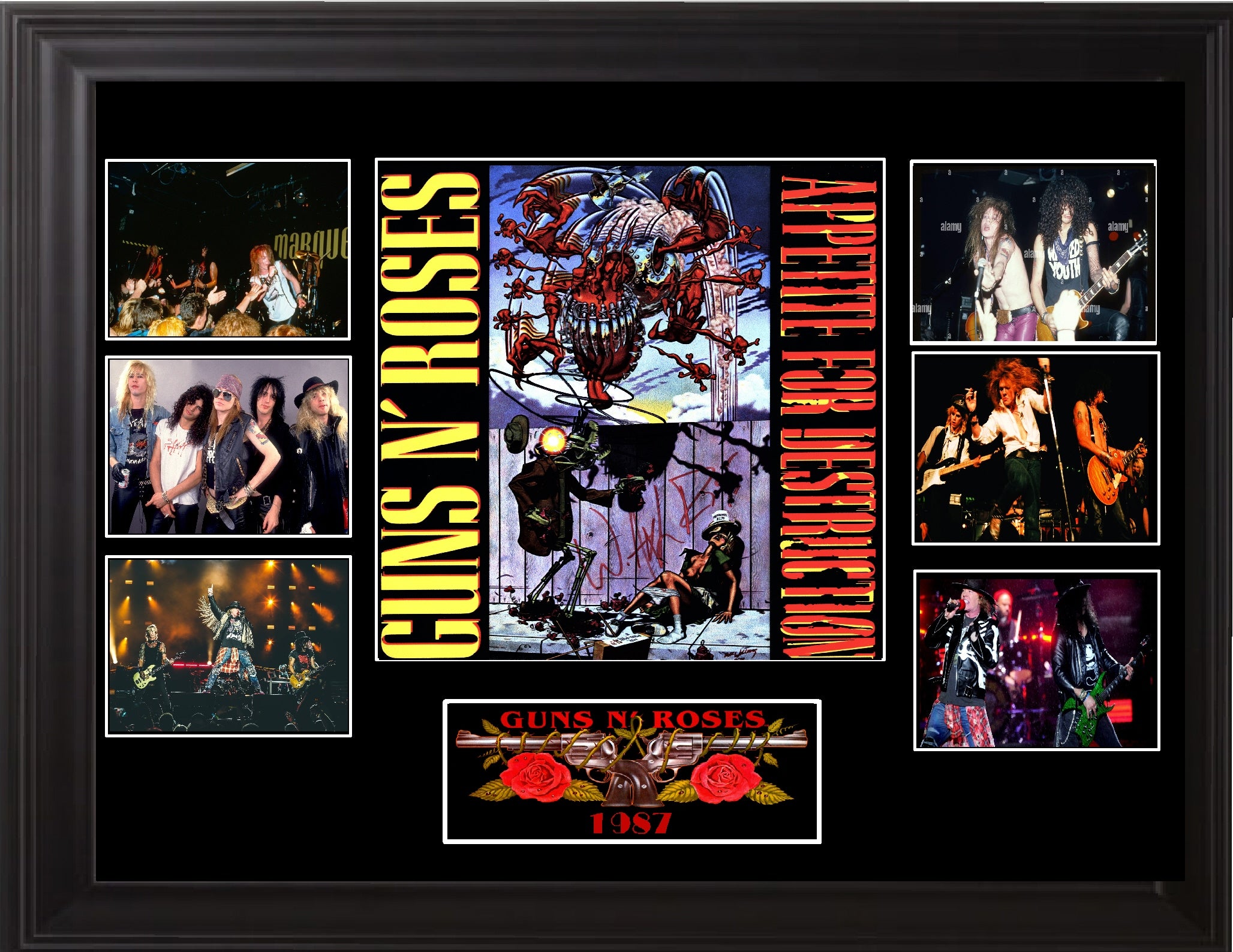 Guns N Roses Autographed Lp / Vinyl - 