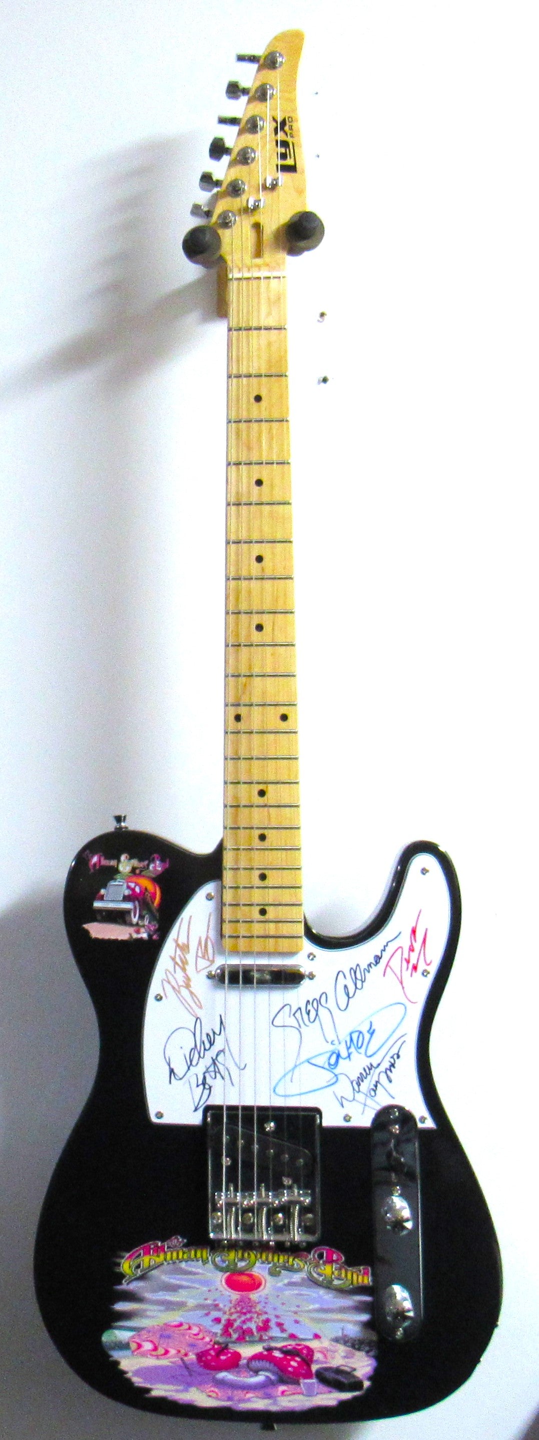 Allman Brothers Band Autographed Guitar