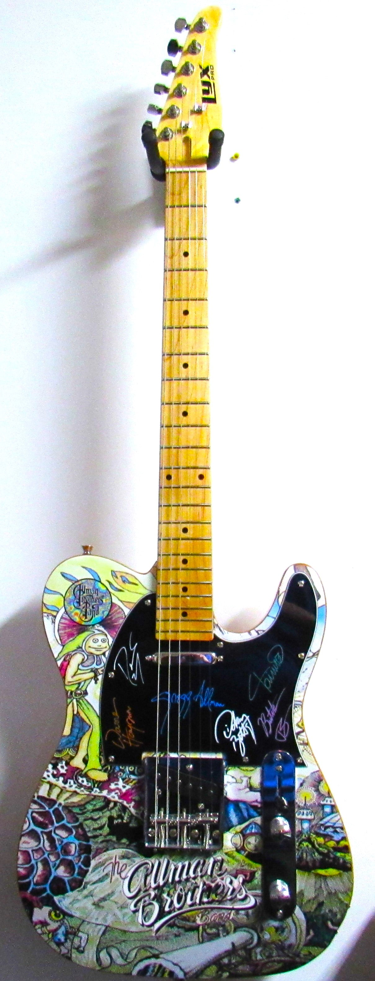 Allman Brothers Band Autographed Guitar - Zion Graphic Collectibles